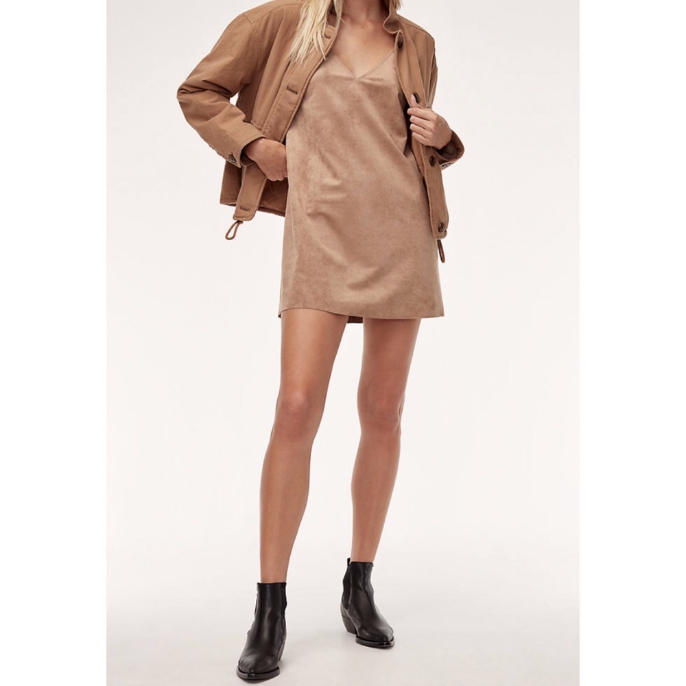 Aritzia Wilfred Free Dress